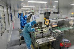 郑州“神经”织就新图景